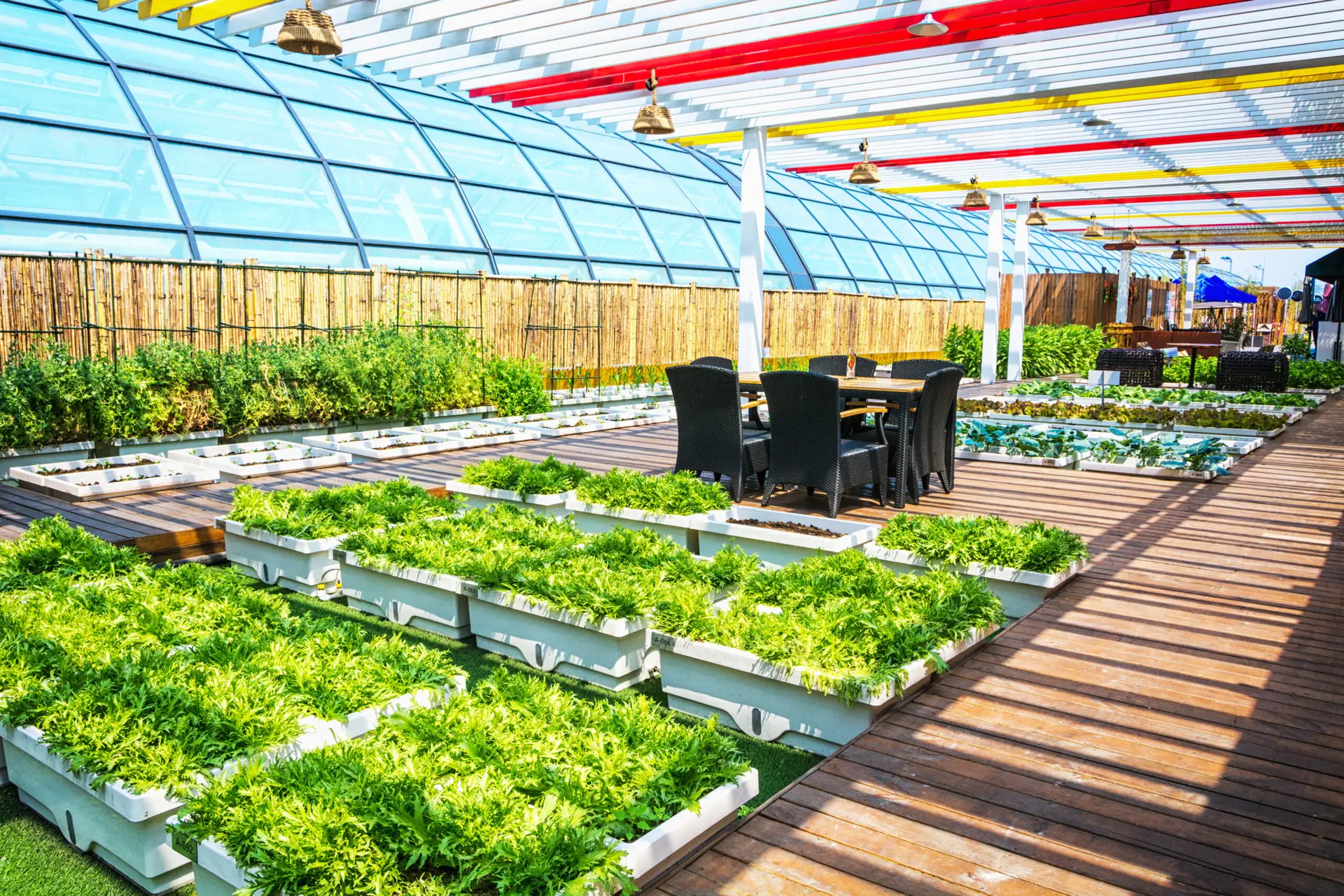 Une serre aménagée en jardin couvert