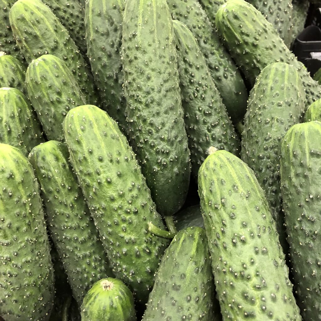 Cornichons délicats: pour les apéritifs, les sandwiches ou en accompagnement.