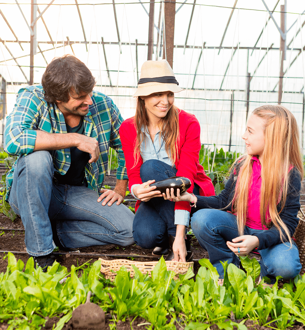 Une famille qui visite une ferme de légumes